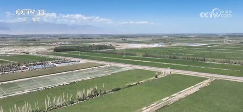 新农具 新要素 新农人 数字技术赋能新疆农业 提升土地利用精准度